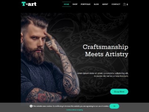 T-ART website template made with TOWeb