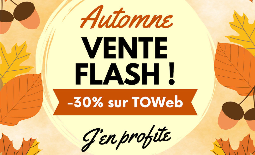 Vente flash 48H ! 30% de réduction sur TOWeb 11 !