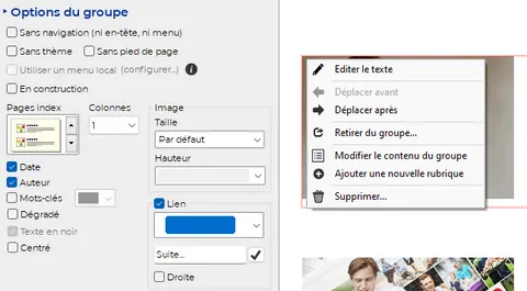 Interface des rubriques groupées de TOWeb