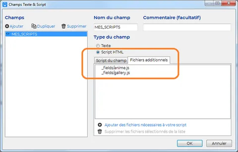 Ajout de fichiers additionnels javascript