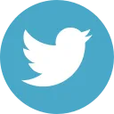 icon flat cirkel twitter